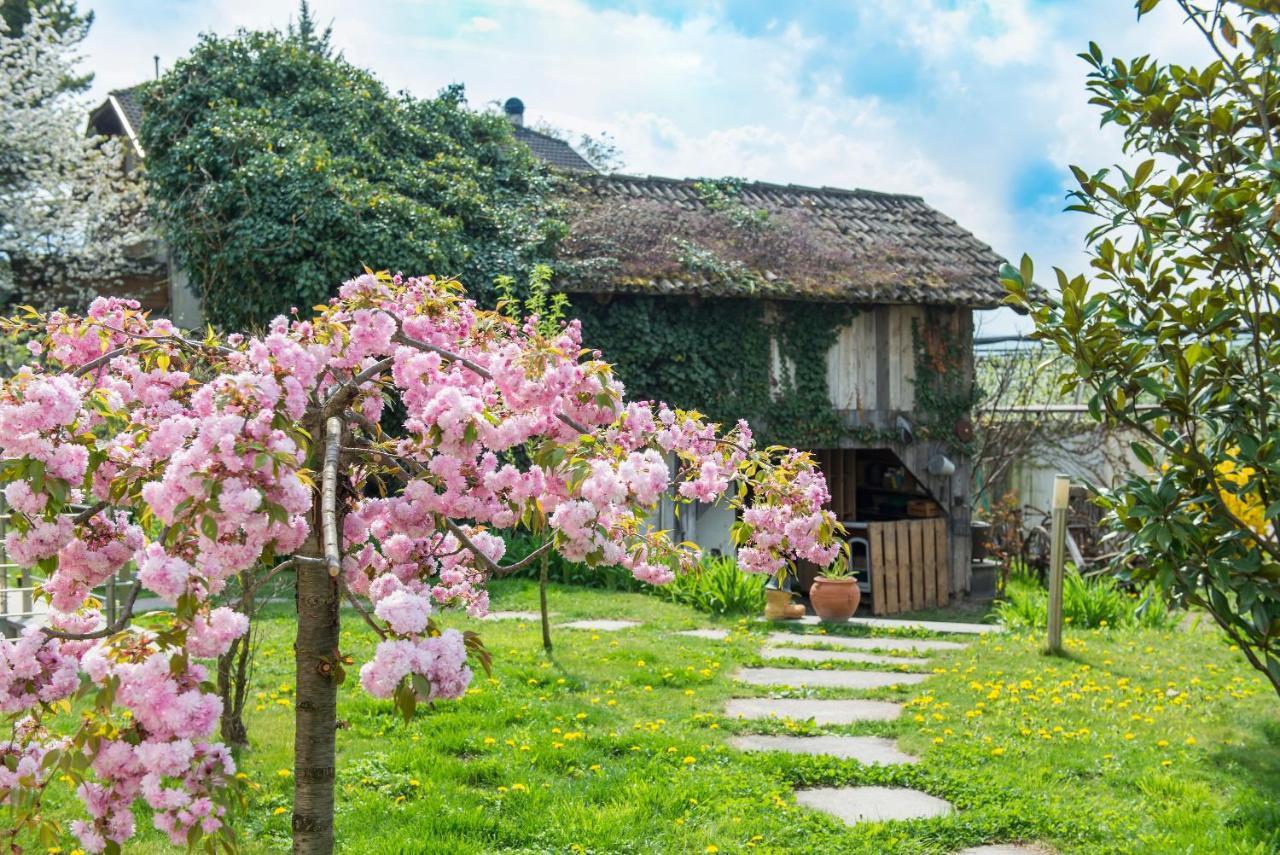 Villa Sonnenschein Terlano Luaran gambar